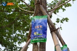 大樹營養液 大樹營養液