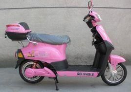 新國標電動車 新國標電動車