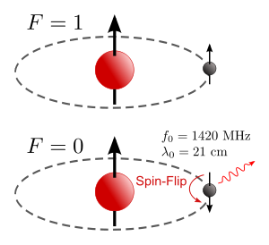 質子和電子的自鏇為平行的氫原子，其能量比自鏇是反平行的氫原子高。