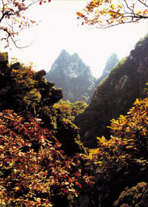 五嶽寨國家森林公園
