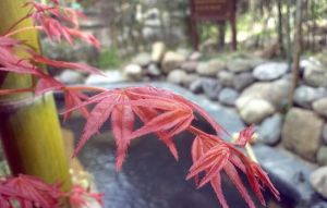 安吉江南天池溫泉 安吉江南天池溫泉