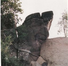 （圖）紅崗農場