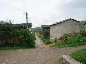 常村村委會 常村村委會