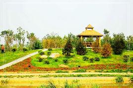 濟寧植物園 濟寧植物園