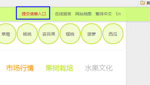 農民水果網提交信息按鈕