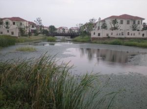 陽澄湖小馬哥農家樂 陽澄湖小馬哥農家樂