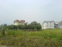 泗竹埔[廣東省普寧市流沙南街道泗竹埔村]