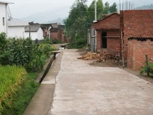 甸尾廠村 甸尾廠村