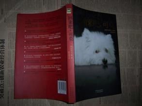 《回來吧,可莫》 《回來吧,可莫》