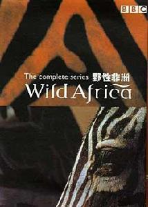 野性非洲 野性非洲
