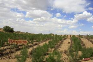 栗柴坡村 栗柴坡村