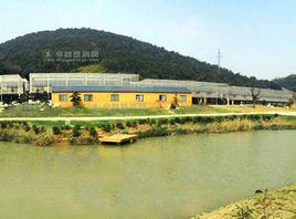 天一鴿業 天一鴿業