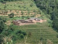 坪子一隊村 坪子一隊村