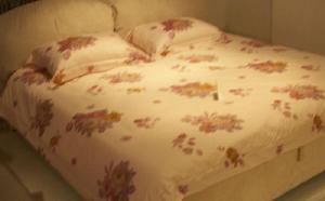 時尚軟床 時尚軟床