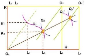 雷布津斯基定理