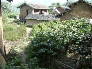 下大石自然村 下大石自然村