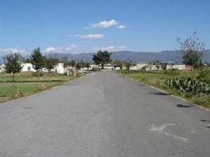 （圖）進村道路