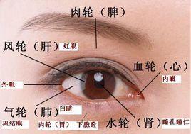 目病 目病