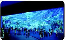 創吉尼斯紀錄海洋館