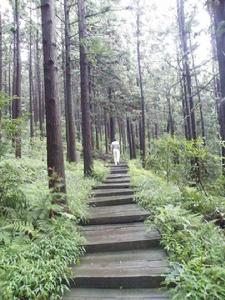 畢節國家森林公園