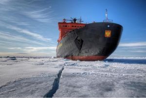 《北極,北極!》 《北極,北極!》