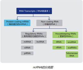 編碼錯誤檢測 編碼錯誤檢測