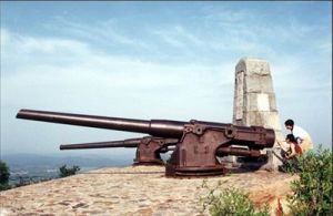 東雞冠山景區 東雞冠山景區