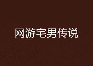 網遊宅男傳說 網遊宅男傳說