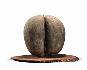 海椰子果核 海椰子果核