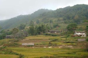 李子水自然村 李子水自然村