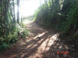 煙地箐自然村 煙地箐自然村