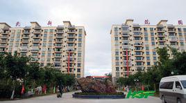 八一總場 八一總場