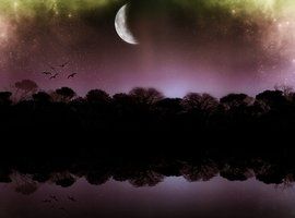 夜闌人靜 夜闌人靜