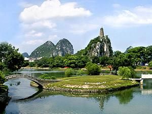 穿山公園 穿山公園