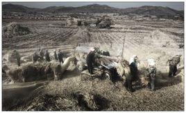 金斗村[遼寧省撫順縣馬圈子鄉下轄村]