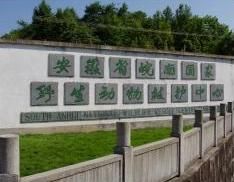 皖南國家野生動物救護中心 皖南國家野生動物救護中心