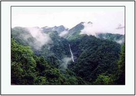 十萬大山國家級自然保護區 十萬大山國家級自然保護區