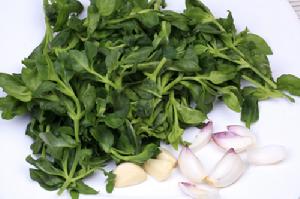 （圖）穿心蓮拌百合