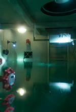 瘋狂的麥咭[密室總匯]