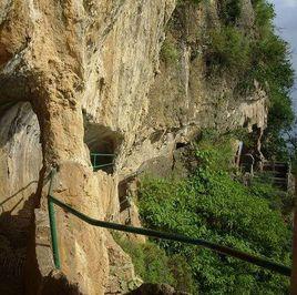 西山蒼蒼 西山蒼蒼