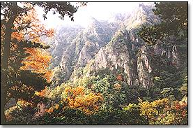 王順山國家森林公園