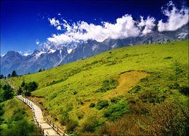 氂牛坪風景區 氂牛坪風景區