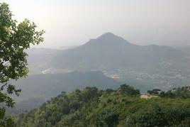 縣娘娘頂風景區 縣娘娘頂風景區