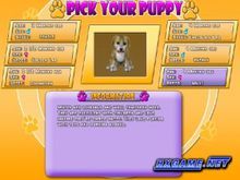 愛心寵物狗-新訓練 愛心寵物狗-新訓練