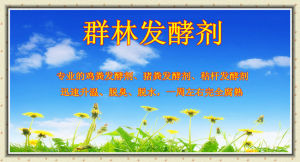 群林發酵劑