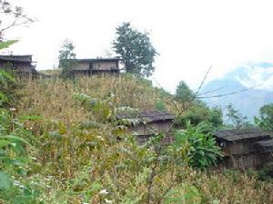 阿塔寺自然村 阿塔寺自然村