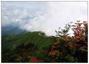 湖南崀山國家地質公園 湖南崀山國家地質公園