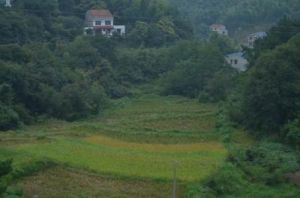 桃花山鎮 桃花山鎮