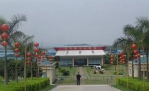 光明華僑畜牧場 光明華僑畜牧場