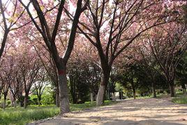 虢國公園 虢國公園